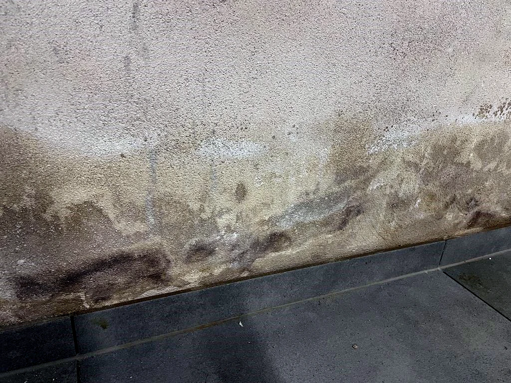 Feuchteschäden an Mauer
