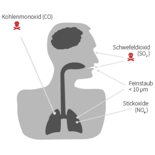 Schema Mensch Lunge Schadstoffe