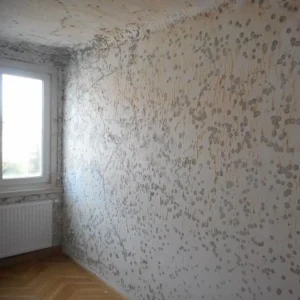 Sanierung von Schimmelschäden