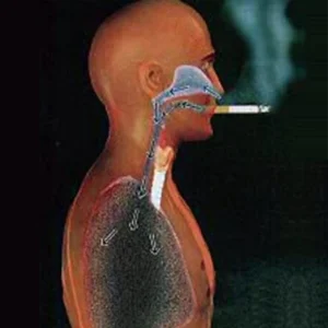 Gesundheitliche Auswirkungen von Tabakrauch